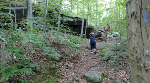 A child walks along a forest trail, surrounded by greenery and rocky terrain, with another person in the background.