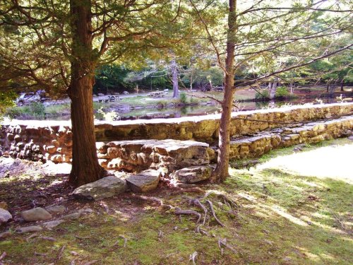 A serene landscape featuring a stone wall, trees, and a grassy area near a calm water body.