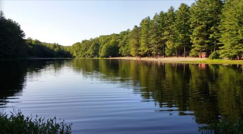 A serene lake surrounded by lush green trees, reflecting the clear blue sky and gentle ripples on the water's surface.