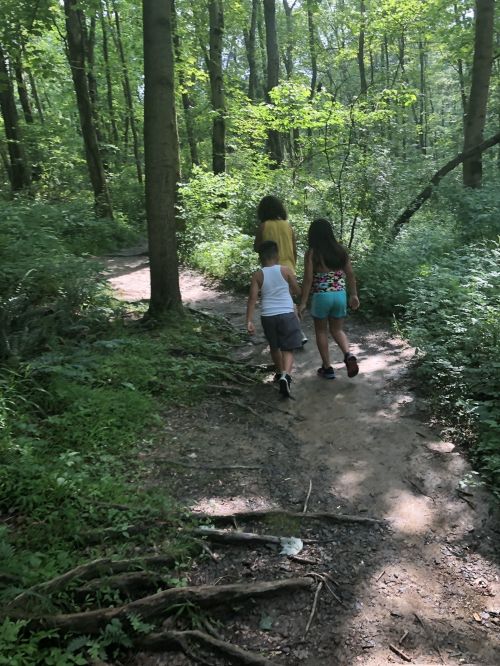 Three children walking hand-in-hand along a dirt path in a lush green forest.