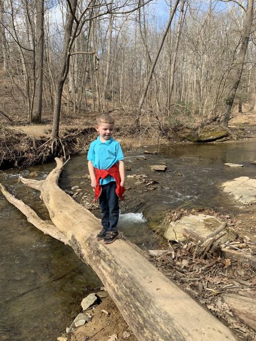 A young boy stands on a fallen log over a stream, surrounded by trees and a natural landscape.