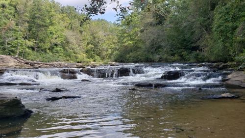 A serene river flows over rocks, surrounded by lush green trees and a peaceful natural landscape.