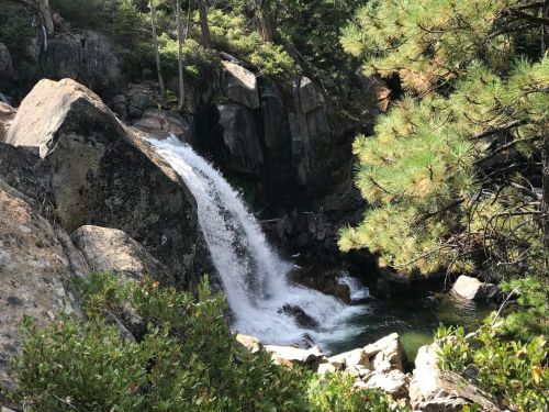 A serene waterfall cascades over rocks, surrounded by lush greenery and tall trees in a tranquil natural setting.