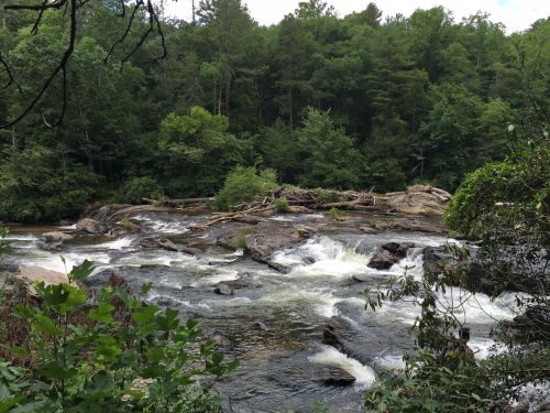 A serene river flows over rocks, surrounded by lush green trees and foliage in a peaceful natural setting.