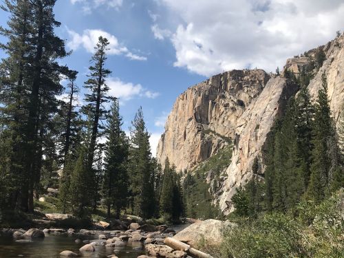 A serene landscape featuring a river, tall pine trees, and a rocky cliff under a partly cloudy sky.