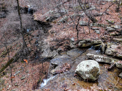 A rocky stream flows through a forested area with bare trees and fallen leaves in a serene, natural setting.