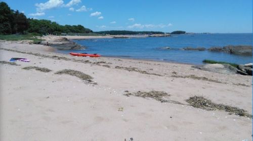 A sandy beach with gentle waves, scattered seaweed, and a red kayak on the shore under a clear blue sky.