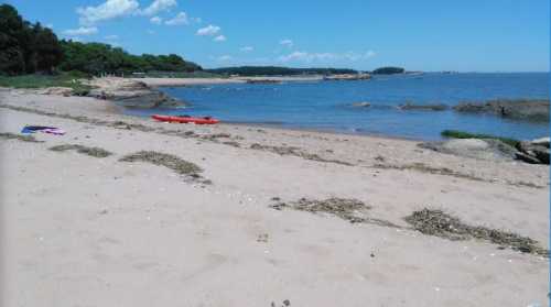 A sandy beach with gentle waves, scattered seaweed, and a red kayak on the shore under a clear blue sky.