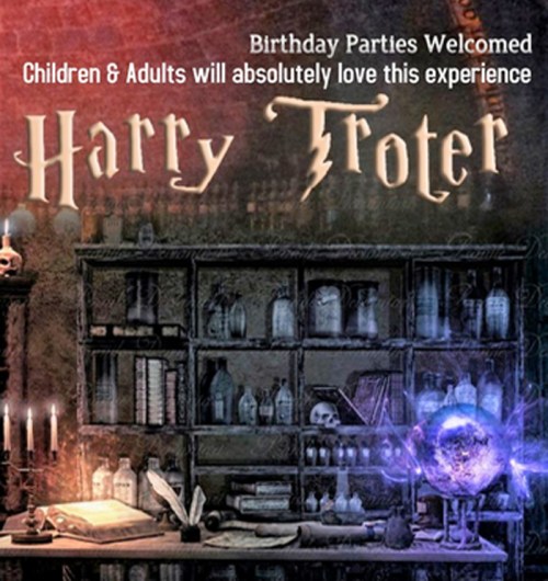 A whimsical, dark-themed room with shelves of potions and a glowing orb, promoting "Harry Troter" birthday parties.