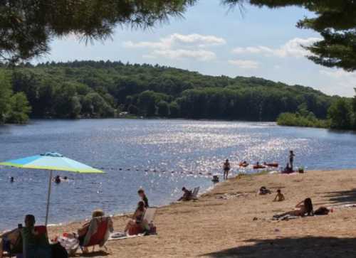 A sunny beach scene by a lake, with people swimming, lounging on the sand, and an umbrella providing shade.