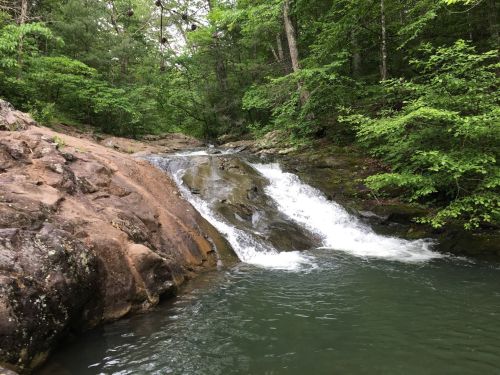 A serene waterfall cascading over rocks into a calm pool, surrounded by lush green trees and foliage.