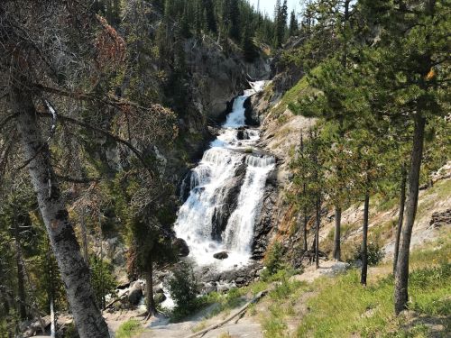 A cascading waterfall flows down rocky terrain, surrounded by lush green trees and a clear blue sky.