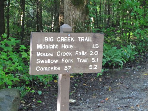 Wooden trail sign listing distances to various locations: Midnight Hole (1.5), Mouse Creek Falls (2.0), Swallow Fork Trail (5.1), Campsite 37 (5.2).