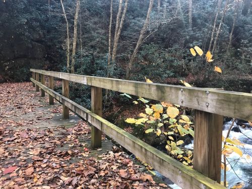 A wooden bridge over a stream, surrounded by autumn leaves and trees in a serene forest setting.