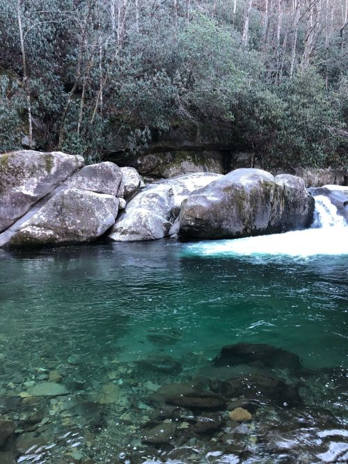 A serene river flows over smooth rocks, surrounded by lush greenery and trees in a tranquil natural setting.