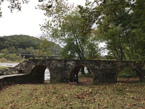A person sits beneath a stone arch bridge surrounded by trees and fallen leaves near a river.