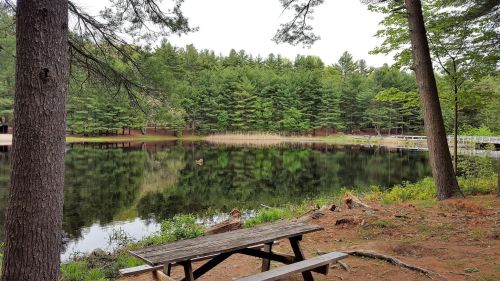 A serene lake surrounded by trees, with a picnic table in the foreground and reflections on the water's surface.