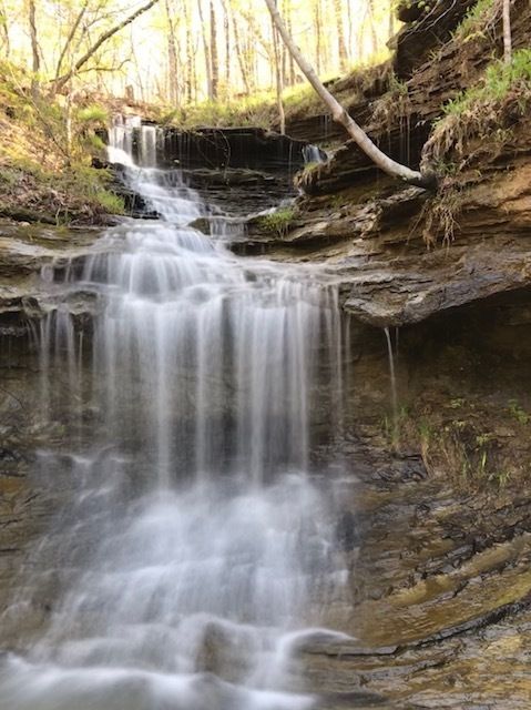 A serene waterfall cascading over rocky terrain, surrounded by lush greenery and trees in a peaceful forest setting.