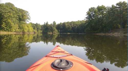 A view from the front of an orange kayak on calm water, surrounded by lush green trees and a clear sky.