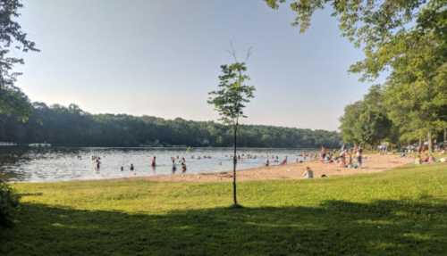 A sandy beach by a lake, with people swimming and relaxing under trees on a sunny day.