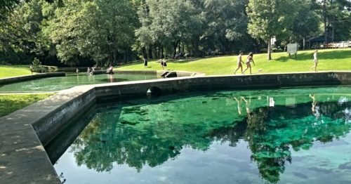 A serene park scene featuring clear water pools surrounded by lush greenery and people walking along the pathways.