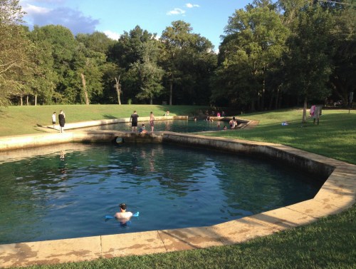 A serene outdoor scene with people swimming and playing in a natural pool surrounded by trees and grassy areas.