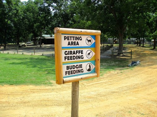 Signpost indicating areas for petting, giraffe feeding, and budgie feeding in a park setting.