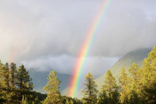A vibrant rainbow arcs over a forested landscape, with mountains and clouds in the background.