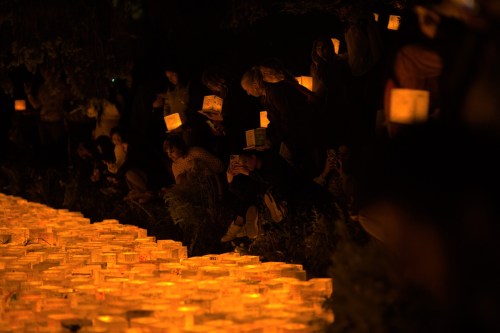 A crowd gathers at night, holding lanterns and admiring glowing lights along a path.