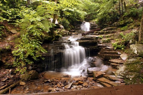 A serene waterfall cascades over rocky steps, surrounded by lush green foliage in a tranquil forest setting.