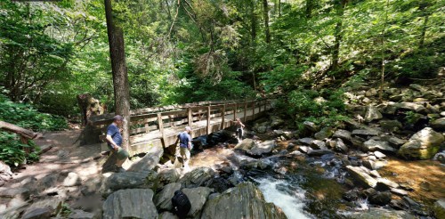A wooden bridge crosses a stream in a lush, green forest, with hikers exploring the rocky banks nearby.