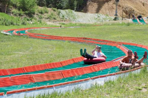 Two people enjoy tubing down a winding, grassy slope on a sunny day, with safety netting along the sides.