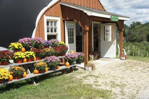 A charming wooden building with a welcoming entrance, surrounded by colorful flower pots and small pumpkins.