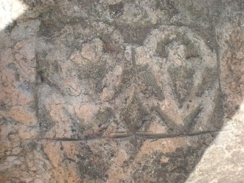 Close-up of ancient rock carvings featuring abstract shapes and patterns on a weathered stone surface.