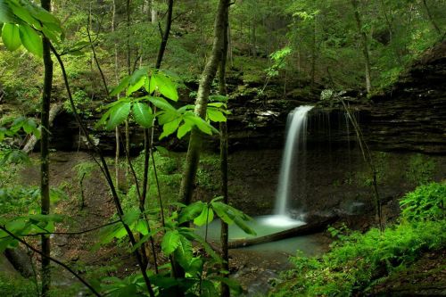 A serene waterfall cascades into a tranquil pool, surrounded by lush green foliage and rocky terrain.