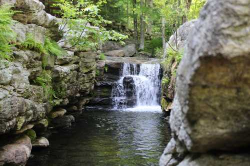 A serene waterfall cascades into a clear pool, surrounded by lush greenery and rocky formations.