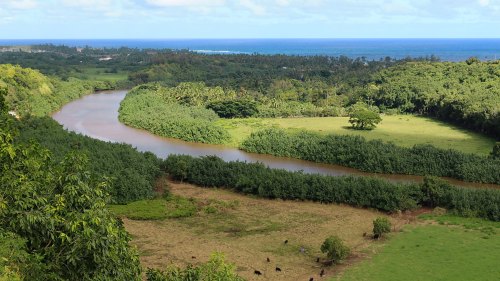 A lush landscape featuring a winding river, green fields, and trees, with the ocean visible in the distance.