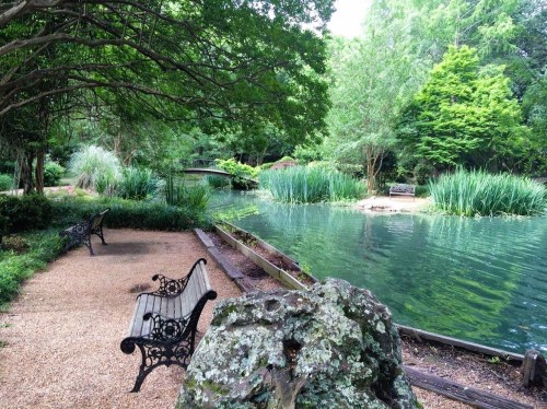 A serene park scene featuring a pond, lush greenery, benches, and a stone pathway.