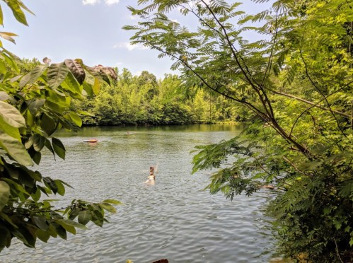 A serene lake surrounded by lush greenery, with a person swimming in the water under a clear blue sky.