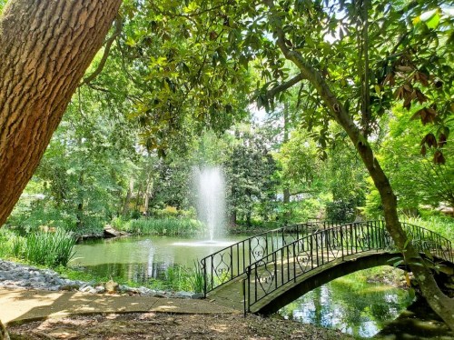 A serene park scene featuring a small bridge over a pond with a fountain, surrounded by lush greenery and trees.