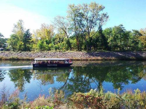 A boat glides along a calm river, surrounded by lush trees and clear blue skies, reflecting on the water's surface.
