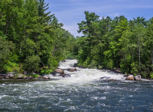 A rushing river flows through a lush green forest, with rocks visible in the water under a clear blue sky.