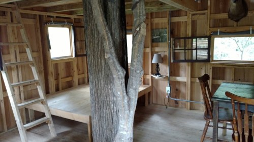 Cozy wooden interior of a cabin featuring a tree trunk, a bed, a table, and a ladder. Natural light from windows.