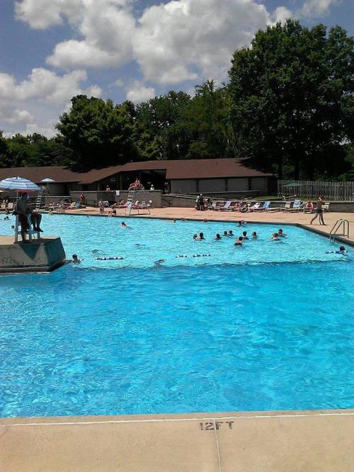 A sunny outdoor pool scene with people swimming and lounging, surrounded by trees and a building in the background.
