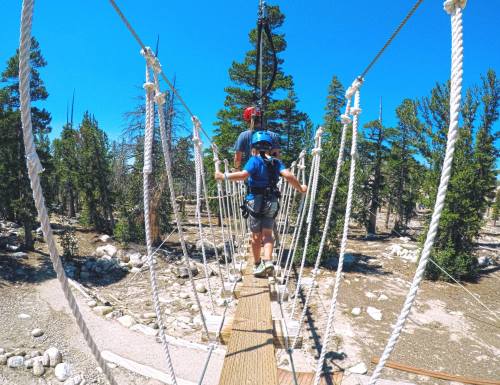 A person crosses a rope bridge in a forest, with trees and rocky ground visible under a clear blue sky.