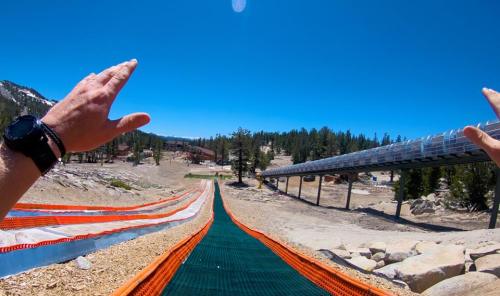 A view from the top of a ski slope, hands raised, with a clear blue sky and trees in the background.