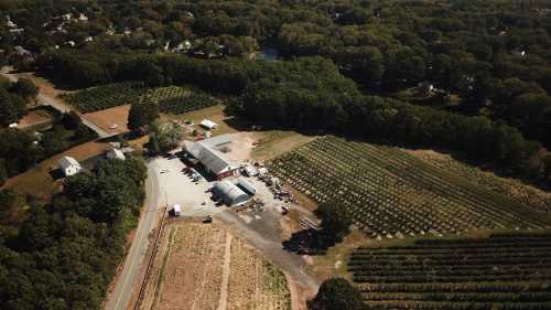 Aerial view of a farm with fields, a barn, and trees, surrounded by rural landscape and a road.