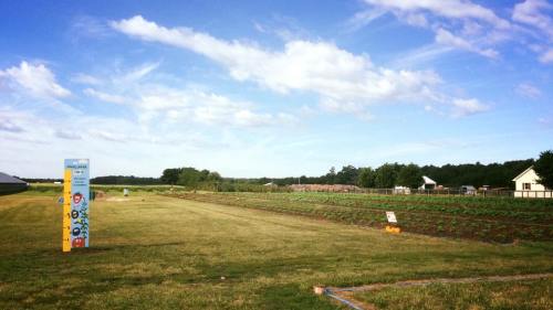 A wide view of a grassy field with a colorful sign, trees, and a farm in the background under a blue sky with clouds.