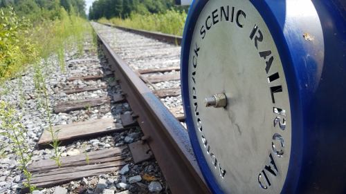 Close-up of a blue railroad sign on a track, surrounded by overgrown grass and gravel, indicating the Adirondack Scenic Railroad.