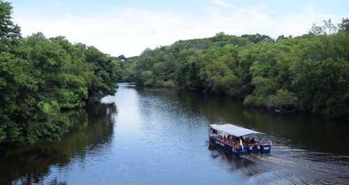 A boat glides through a calm river surrounded by lush green trees under a clear blue sky.